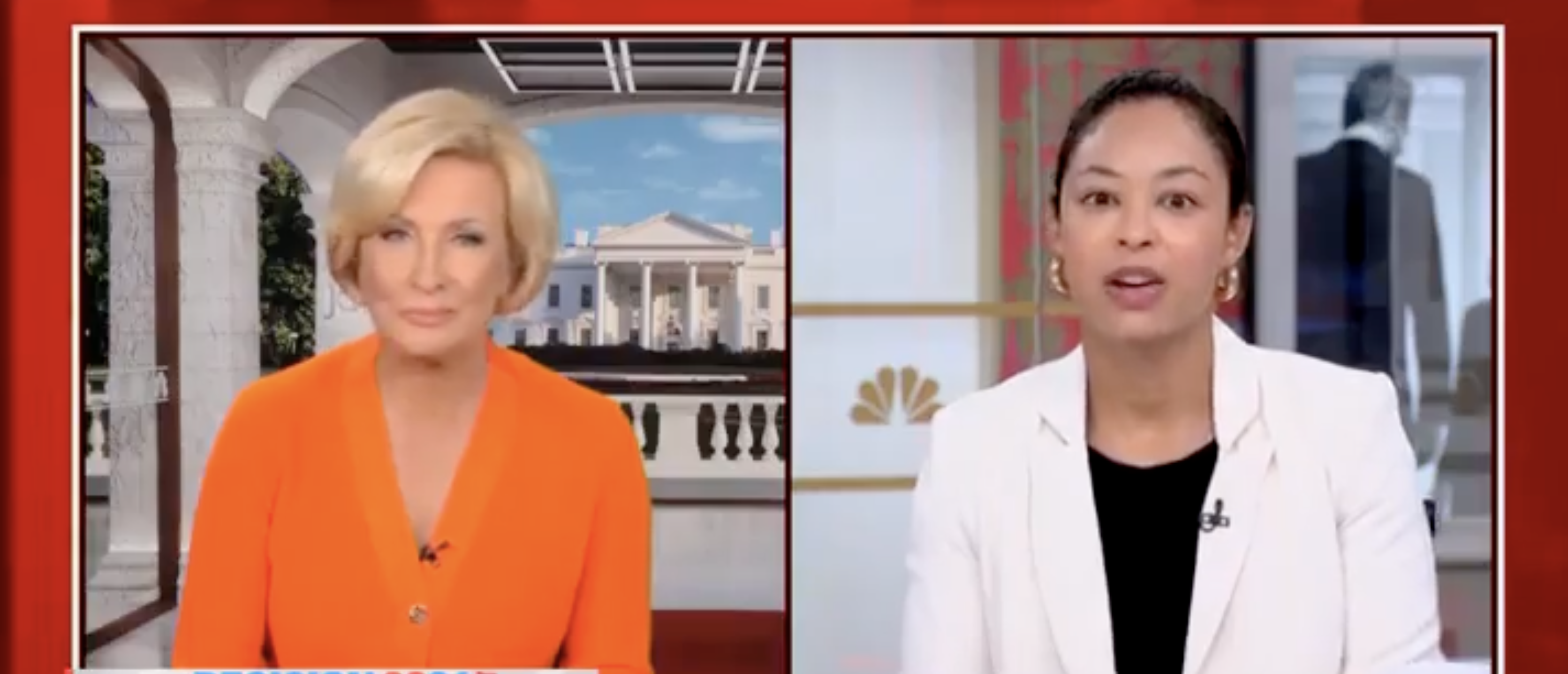 ‘Just Try Racism’: MSNBC Guest Claims GOP Used ‘First Instinct’ Against Kamala Harris